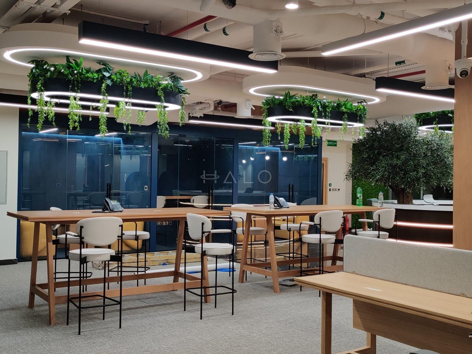 Curved suspended gypsum ceiling rafts with integrated linear lighting over a Dubai open-plan office