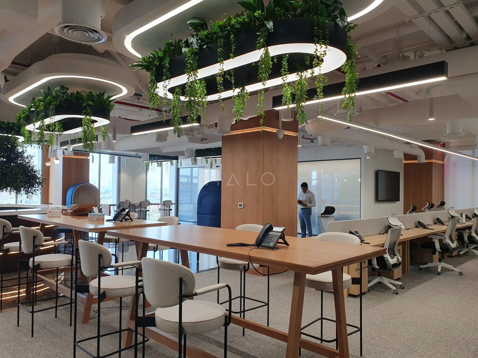 Illuminated gypsum ceiling raft with planting above a collaboration area in a Dubai office fit-out