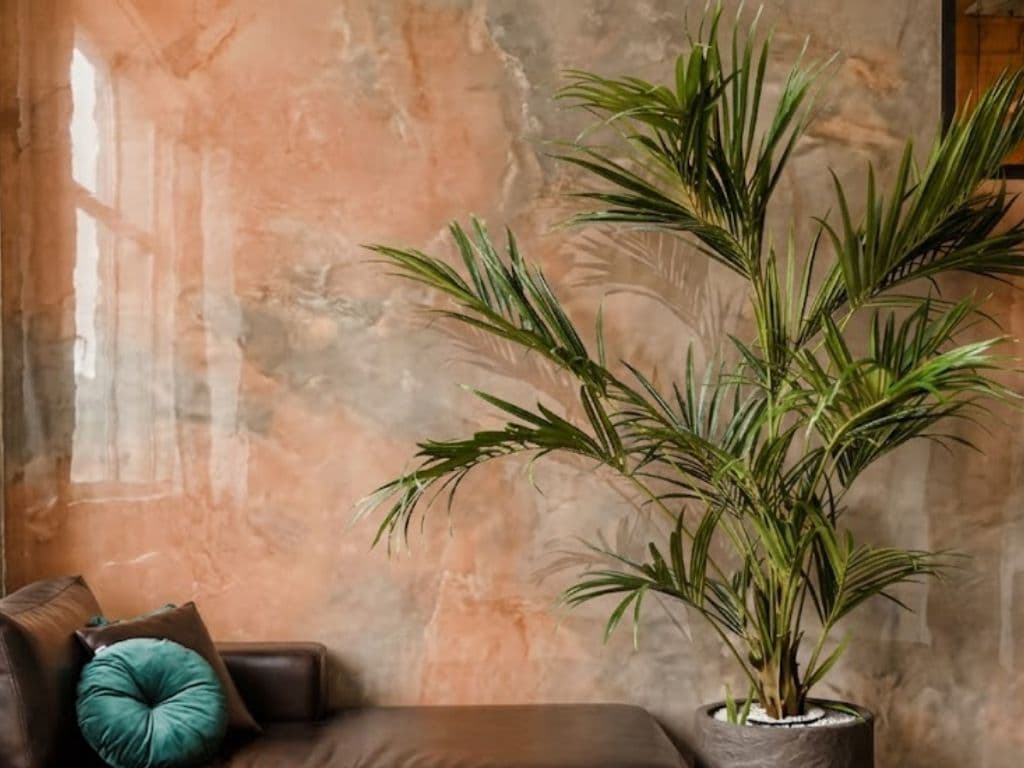 Polished Venetian plaster