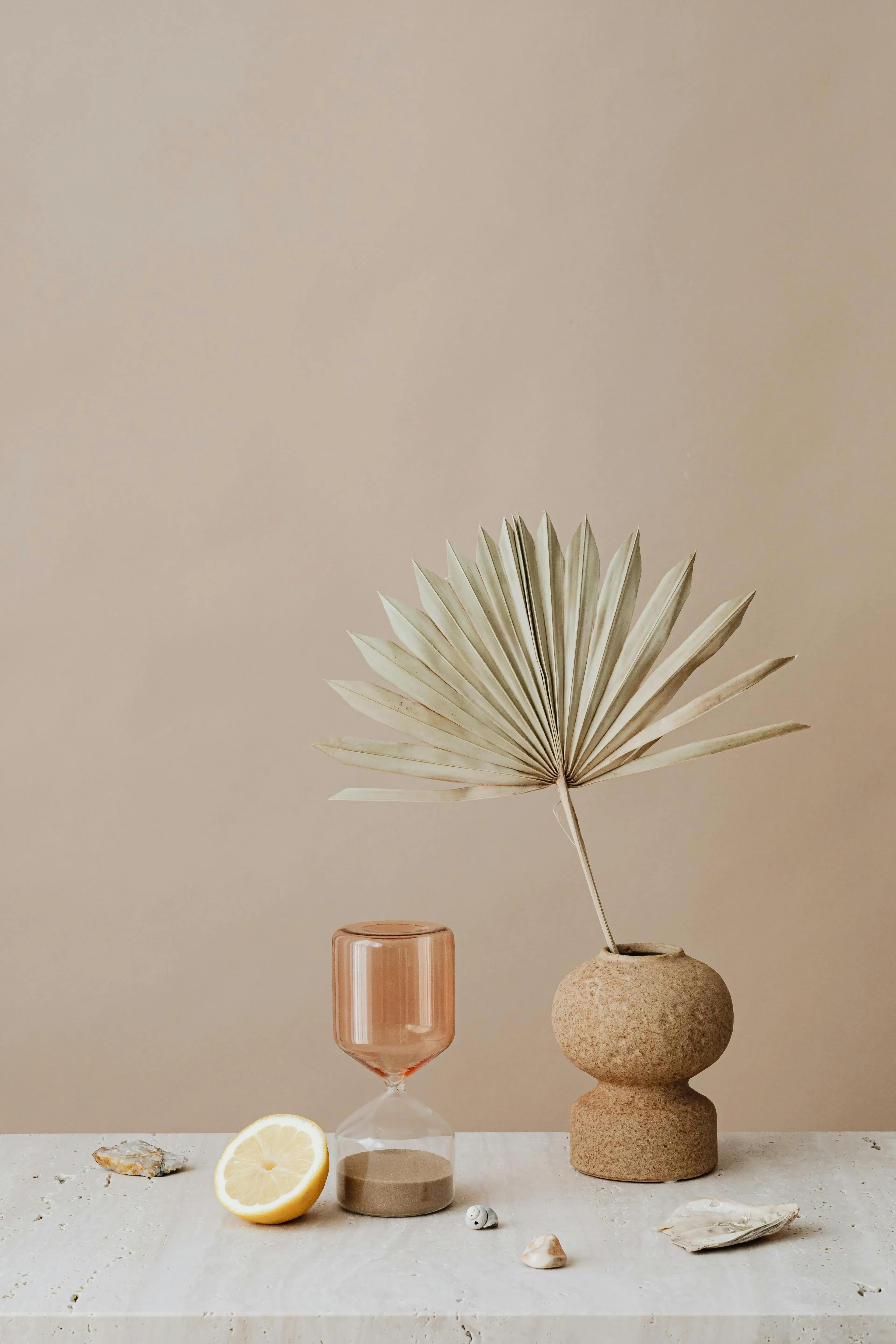 Dried palm frond in a rough stone vessel against a warm plaster wall