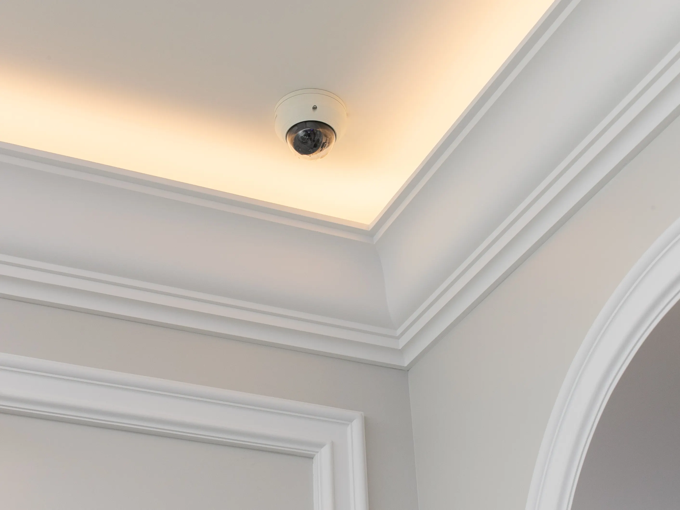 Security Systems